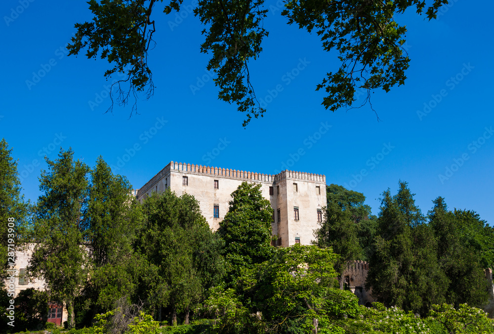 The castle of Catajo in the Euganei hills The castle of Catajo in the Euganei hills