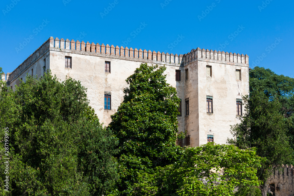 The castle of Catajo in the Euganei hills