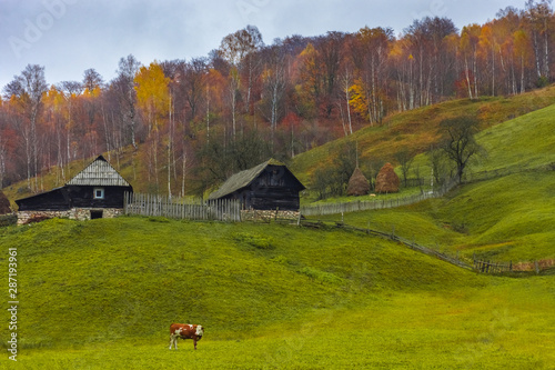 Autumn landscape with traditional houses in Fundatura Ponorului, also known as 