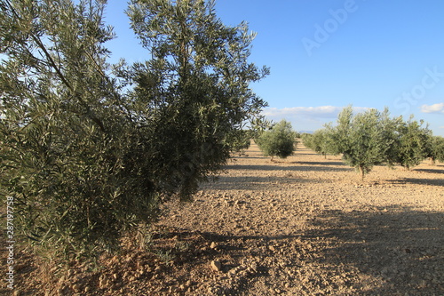 Granada y Sierra Nevada