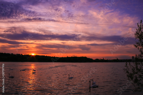 Amazing romantic sunset over the water. Reflection of the colorful sky in the lake. Vegetations in foreground. 