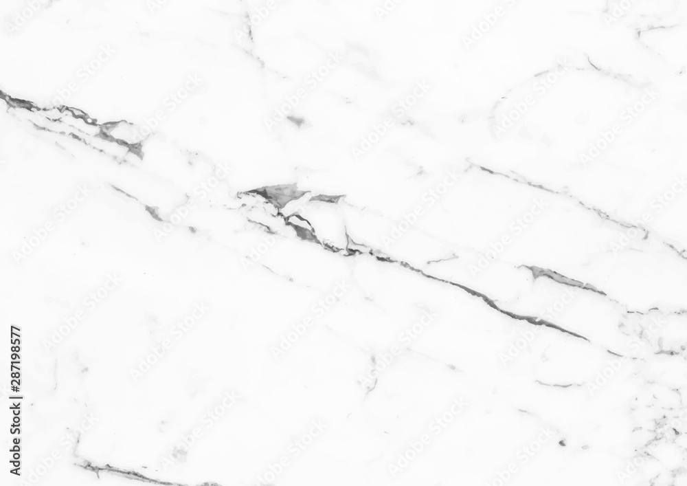 White marble texture vector background