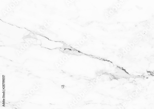 White marble texture vector background