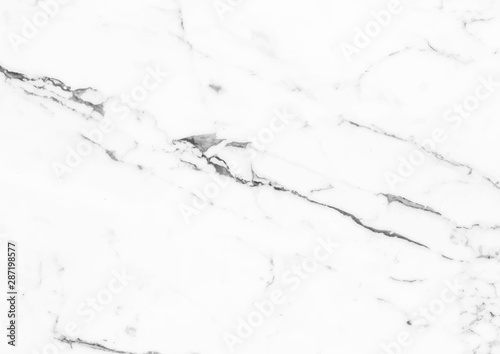 White marble texture vector background