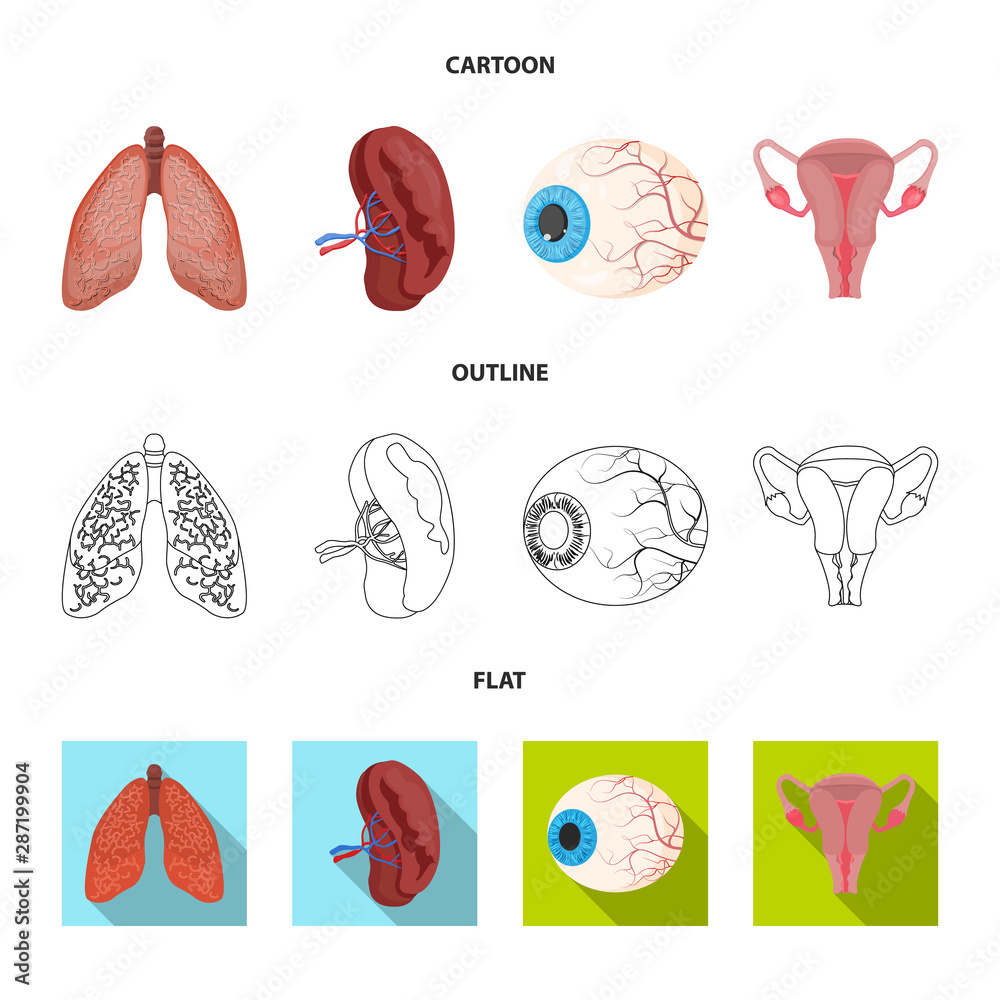 Isolated object of body and human logo. Set of body and medical vector icon for stock. Isolated object of body and human logo. Set of body and medical vector icon for stock.