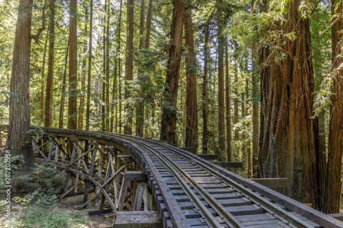 Foto Steam Train Railroad and Trestle Bridge over Redwoods