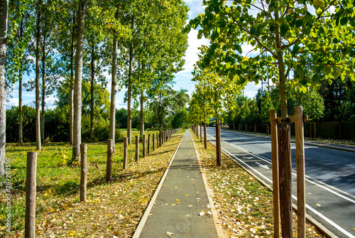 Fototapeta Naklejka Na Ścianę i Meble -  Autumn sunny day. Path along the road in a small quiet town.
