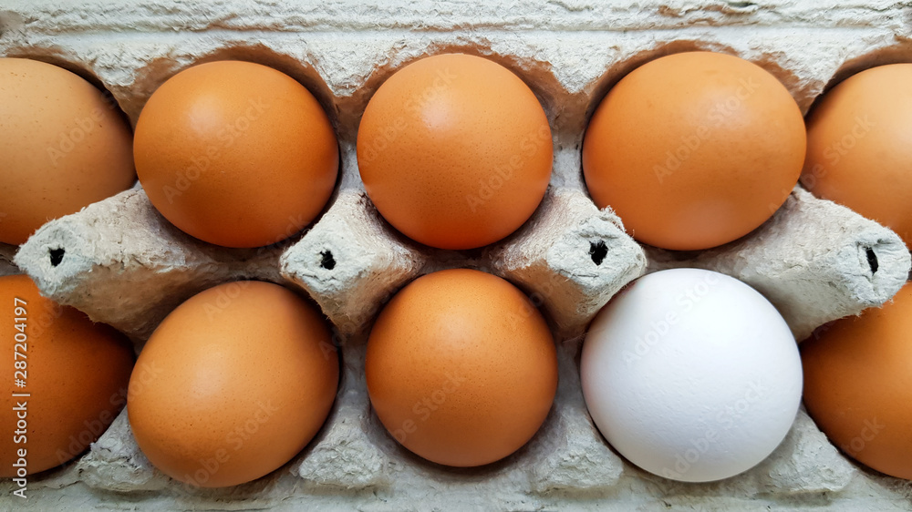 Close up view of raw chicken eggs in an egg box Close up view of raw chicken eggs in an egg box