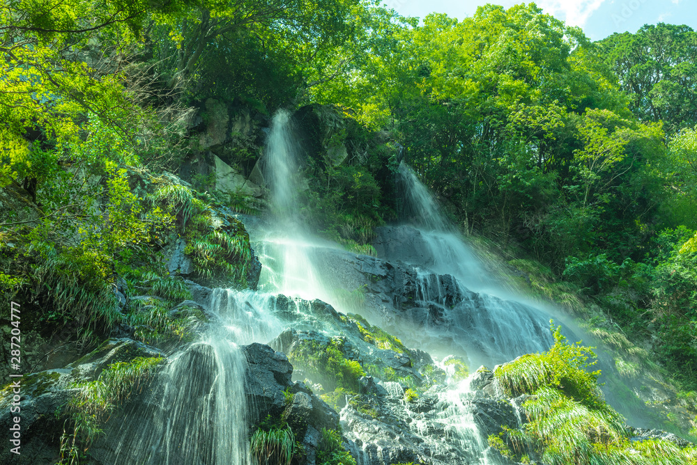 兵庫県・緑深い峡谷の陽光に映える足尾の滝