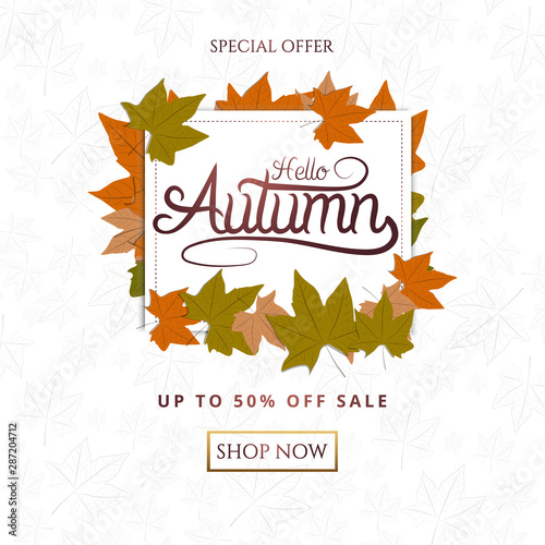 Autumn sale background layout decorate with leaves for shopping sale or promo poster and frame leaflet or web banner.Vector illustration template.