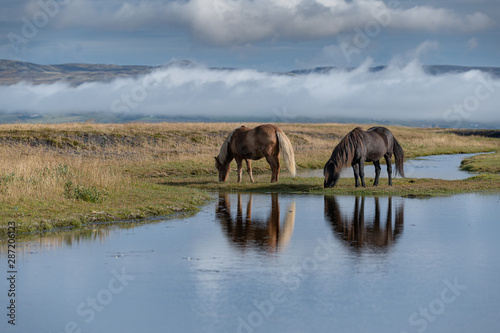Just like another Icelandic reflection 