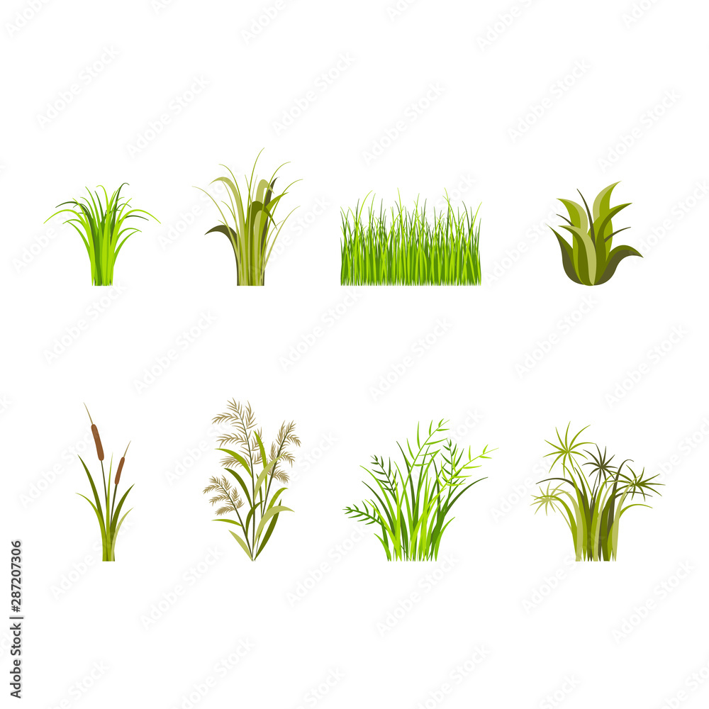 Green Grass Set Decor Elements Isolated on a White Background. Vector