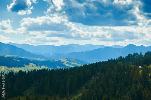 Spruces on hills - beautiful summer landscape, cloudy sky at bright sunny day. Carpathian mountains. Ukraine. Europe. Travel background. © soleg