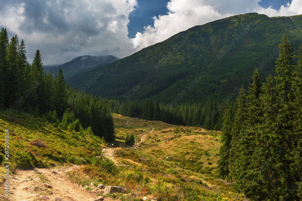 Landscapes of Ukrainian Carpathian meadows and mountain slopes. Landscapes of Ukrainian Carpathian meadows and mountain slopes.