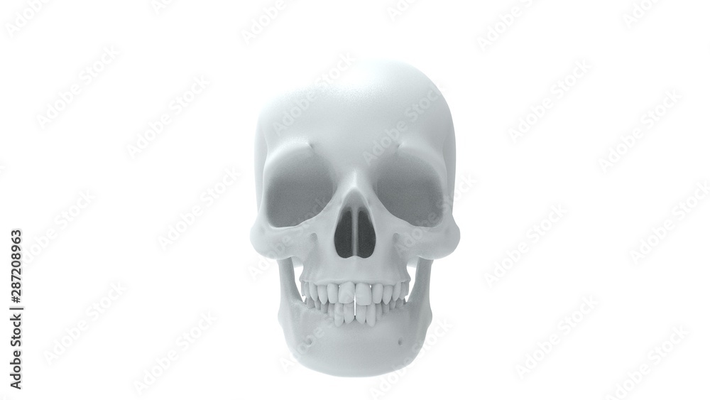 Fototapeta premium 3d rendering of multiple views of a human skull isolated in white background