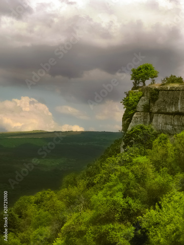 Lonely tree on the edge of a mountain cliff