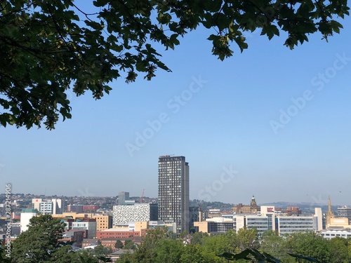 Sheffield City Centre view through trees