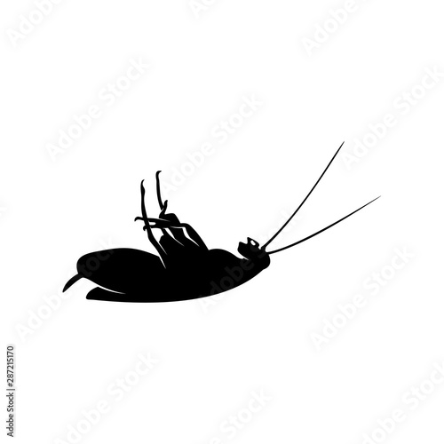 Cockroach Logo Design Vector Illustration. Cockroach Design Template