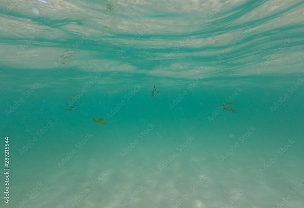 Underwater view from garbage and plastic bottles