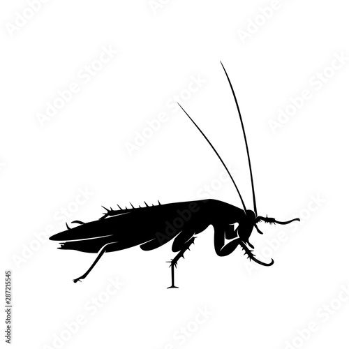 Cockroach Logo Design Vector Illustration. Cockroach Design Template