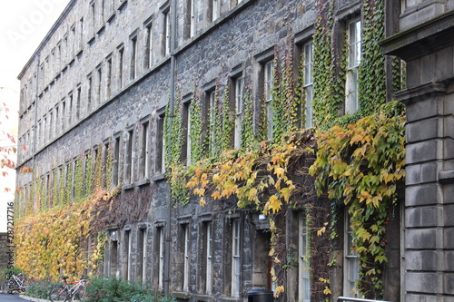 Herbstlaub an altem Gebäude