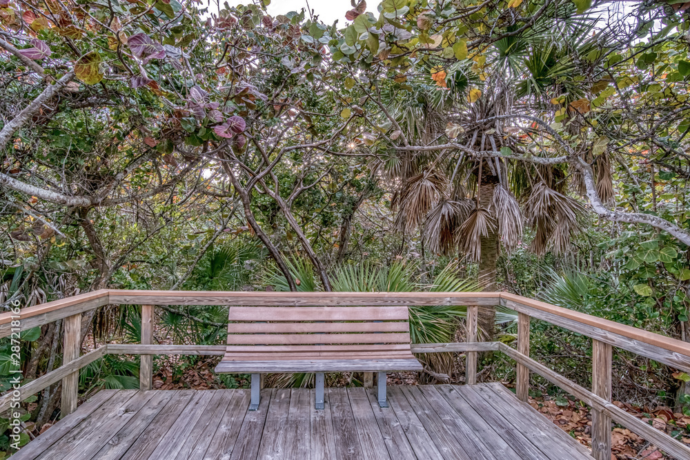 Obraz premium Amazing wild Florida