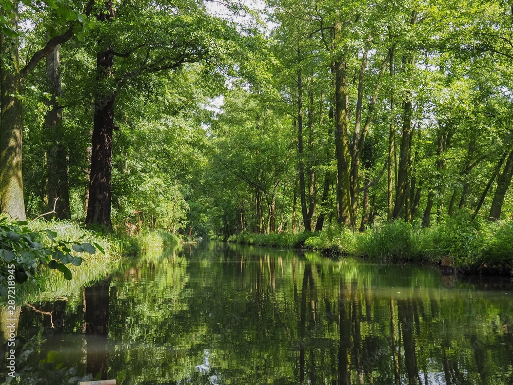 unberührte Natur im Spreewald, eine historische Kulturlandschaft in Brandenburg