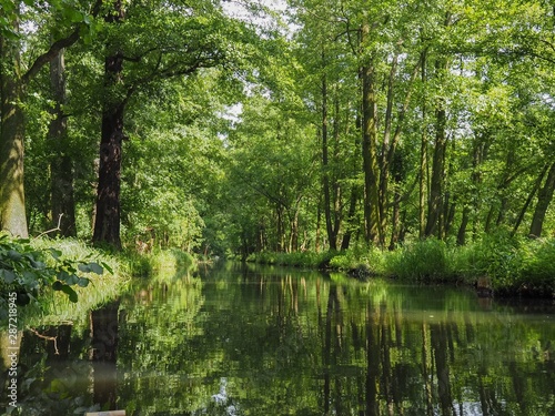 unberührte Natur im Spreewald, eine historische Kulturlandschaft in Brandenburg