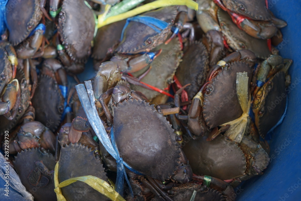crabs on market crabs on market