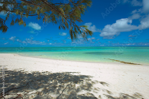 Deserted tropical beach with turquoise sea and a school of fish