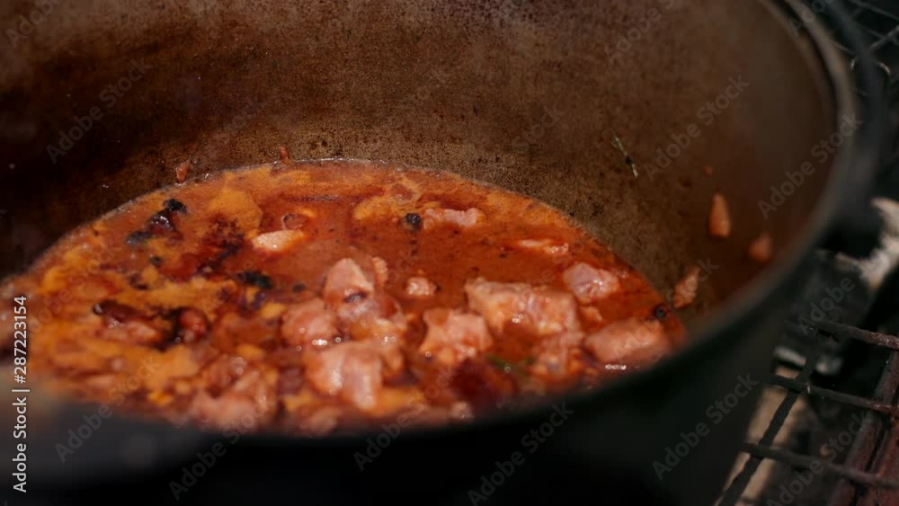 picnic in nature, cooking, in a large cast iron pot preparing a dish, red with meat onions and other components, day, close-up, slow motion picnic in nature, cooking, in a large cast iron pot preparing a dish, red with meat onions and other components, day, close-up, slow motion