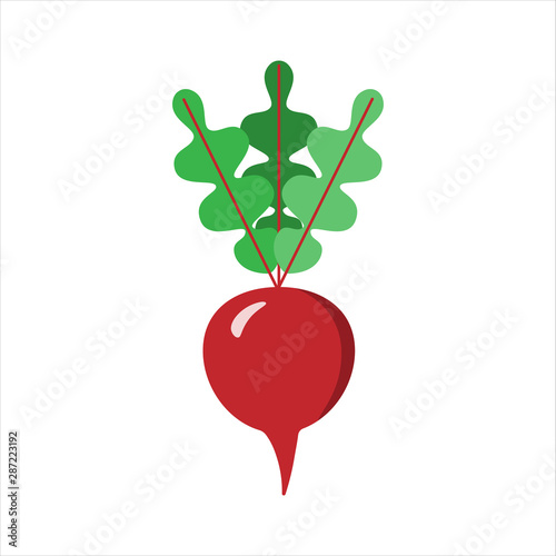 Beetroot. Cartoon flat style. Vegetarian fresh raw food.