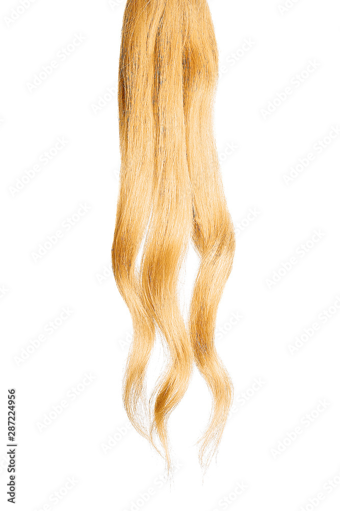 Blond hair, isolated on white background Blond hair, isolated on white background