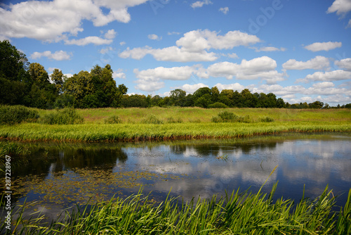Pond on a sunny day