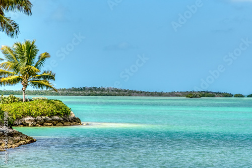 Fototapeta Naklejka Na Ścianę i Meble -  Exotic Water Colors of Florida Keys