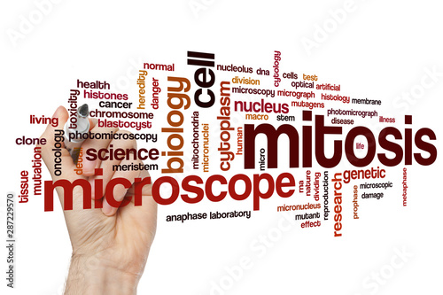 Mitosis word cloud photo