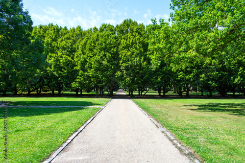 Fototapeta Naklejka Na Ścianę i Meble -  Alley in the park with beautiful green trees. Rest zone.
