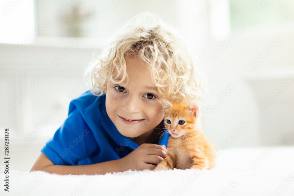 Little child holding baby cat. Kids and pets Little child holding baby cat. Kids and pets