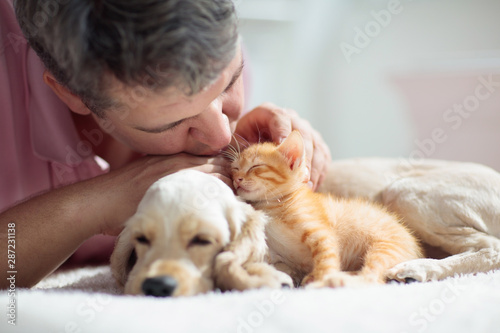 Photography Cat and dog sleeping. Puppy and kitten sleep.