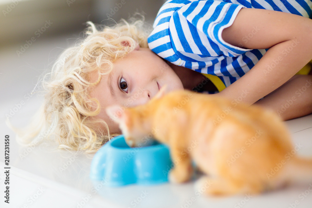 Little child holding baby cat. Kids and pets Little child holding baby cat. Kids and pets
