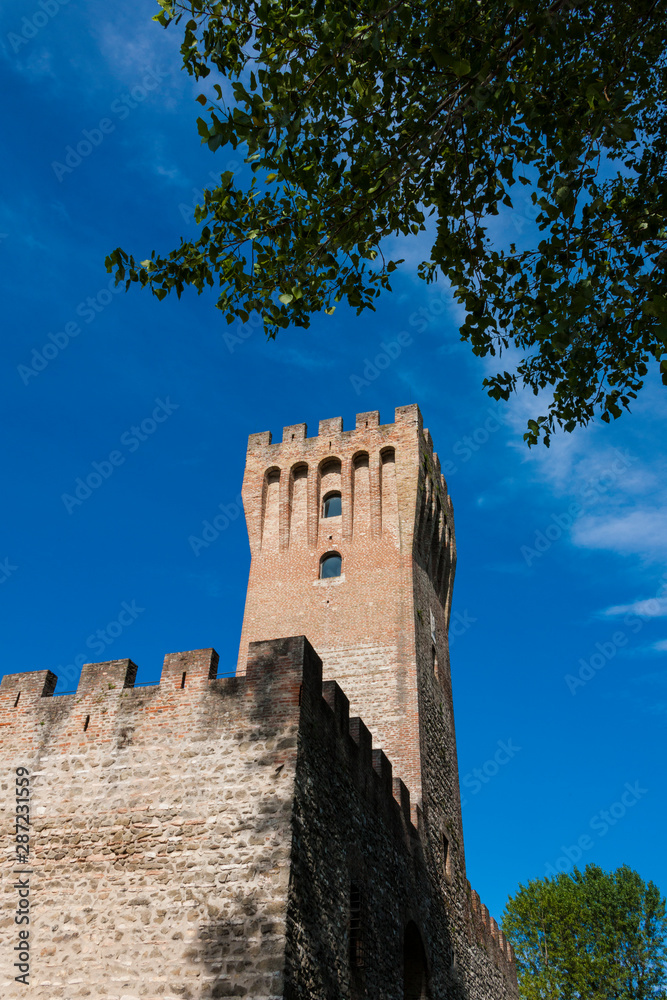 The castle of San Martino della Vaneza in the Euganei hills