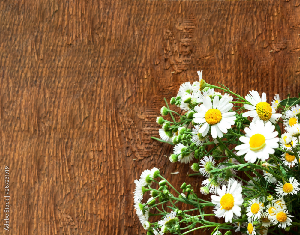 Obraz premium Autumn decor. Daisy flowers on wooden background. Close-up