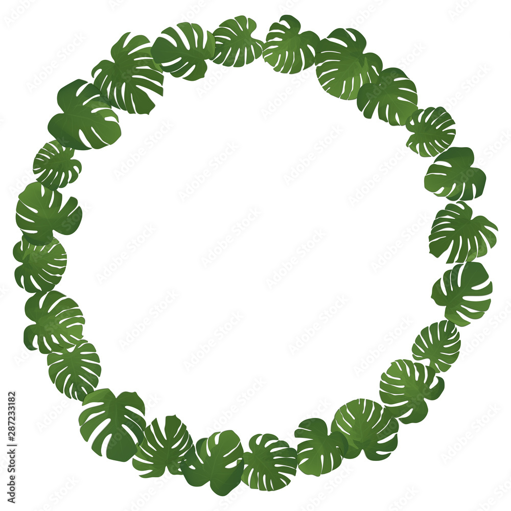Monstera leaf. Frame with paradise leaves on white background. Vector illustration. Summer floral design. Botanical art. Natural card design. Set with green monstera leaves. Tropical illustration. Monstera leaf. Frame with paradise leaves on white background. Vector illustration. Summer floral design. Botanical art. Natural card design. Set with green monstera leaves. Tropical illustration.
