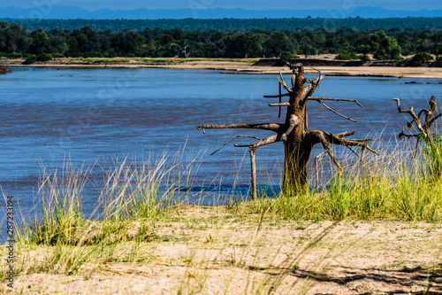 Luangwa River