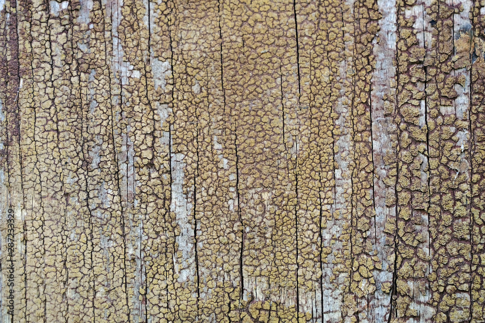 Fototapeta premium Old peeling paint on a wooden surface. retro wall background.