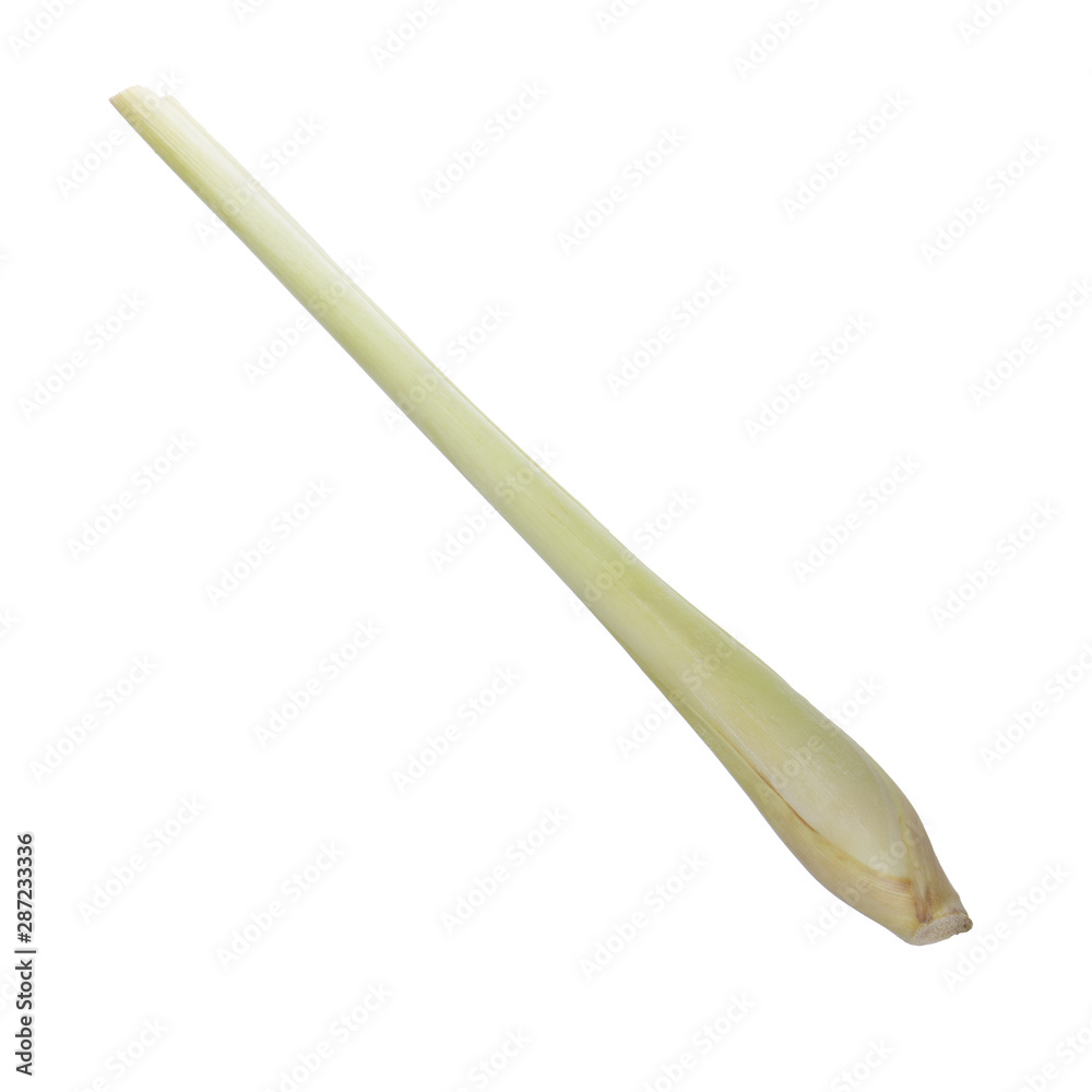 caulis of lemongrass isolated on white background caulis of lemongrass isolated on white background