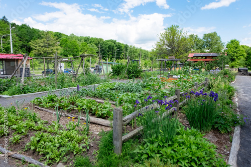 Ithaca Children's Garden Veggie and Flower Patch