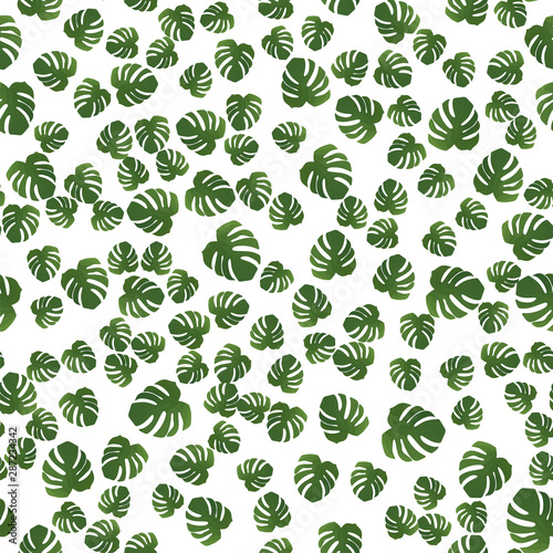 Beautiful seamless pattern with monstera. Monstera for decorative design. Green natural plant. Jungle foliage illustration. White background. Summer beach floral print. Jungle floral illustration.