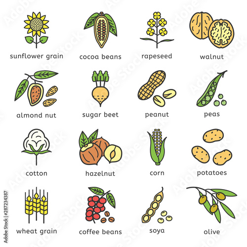 Agricultural commodities of the plant origin icons set in flat style design with editable stroke outline