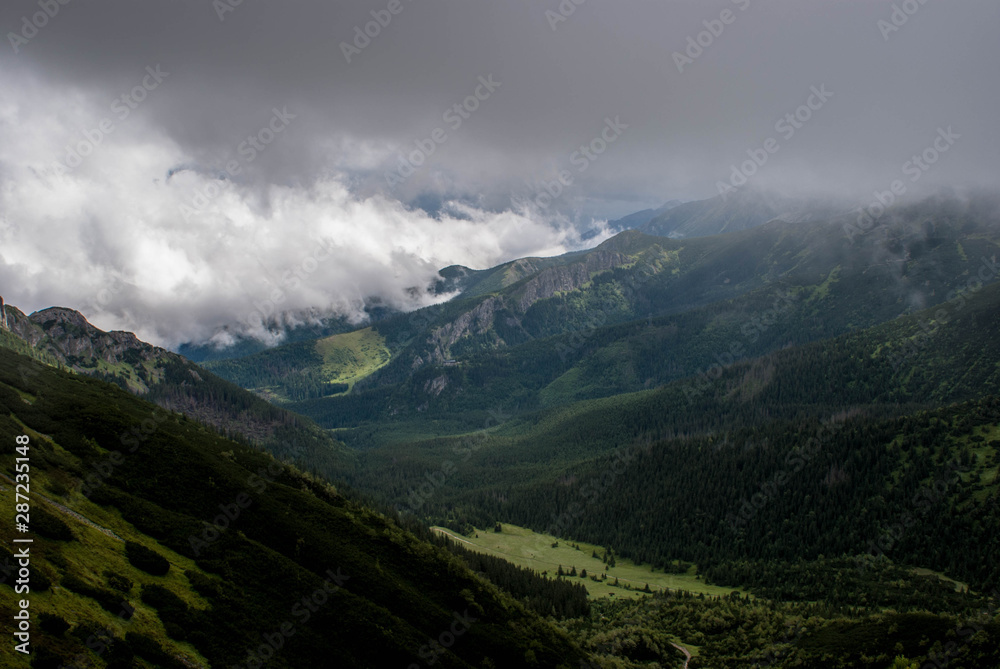 Naklejka premium SONY DSC